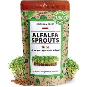 HOME GROWN Alfalfa Sprout Seeds for Sprouting and Microgreens (16oz) Premium USA Alfalfa Seeds Indoor or Outdoor Planting Sprouts | Non-GMO | Micro Greens Seed in Resealable Bag